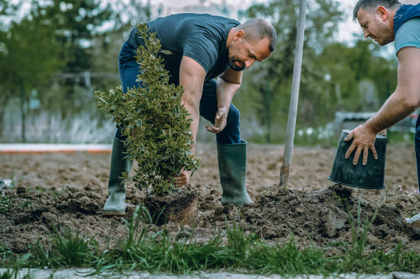 Best Storm Damage Tree Cleanup  in Portage, WI
