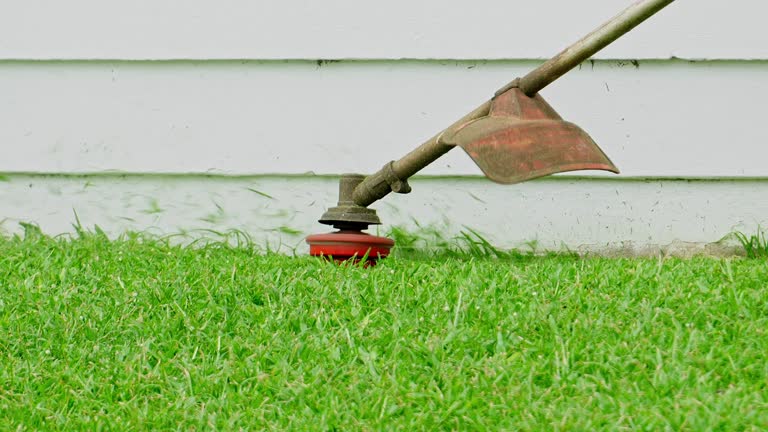Best Organic Lawn Care Solutions  in Portage, WI